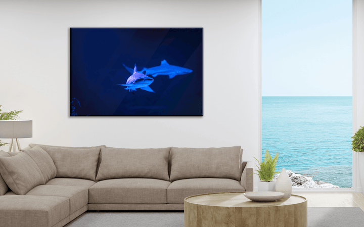 Acrylic Glass Modern Wall Art Shark - Sea Life Series - Interior Design - Acrylic Wall Art - Picture Photo Printing Artwork - Multiple Size Options - egraphicstore