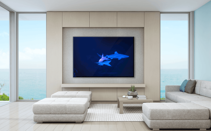 Acrylic Glass Modern Wall Art Shark - Sea Life Series - Interior Design - Acrylic Wall Art - Picture Photo Printing Artwork - Multiple Size Options - egraphicstore