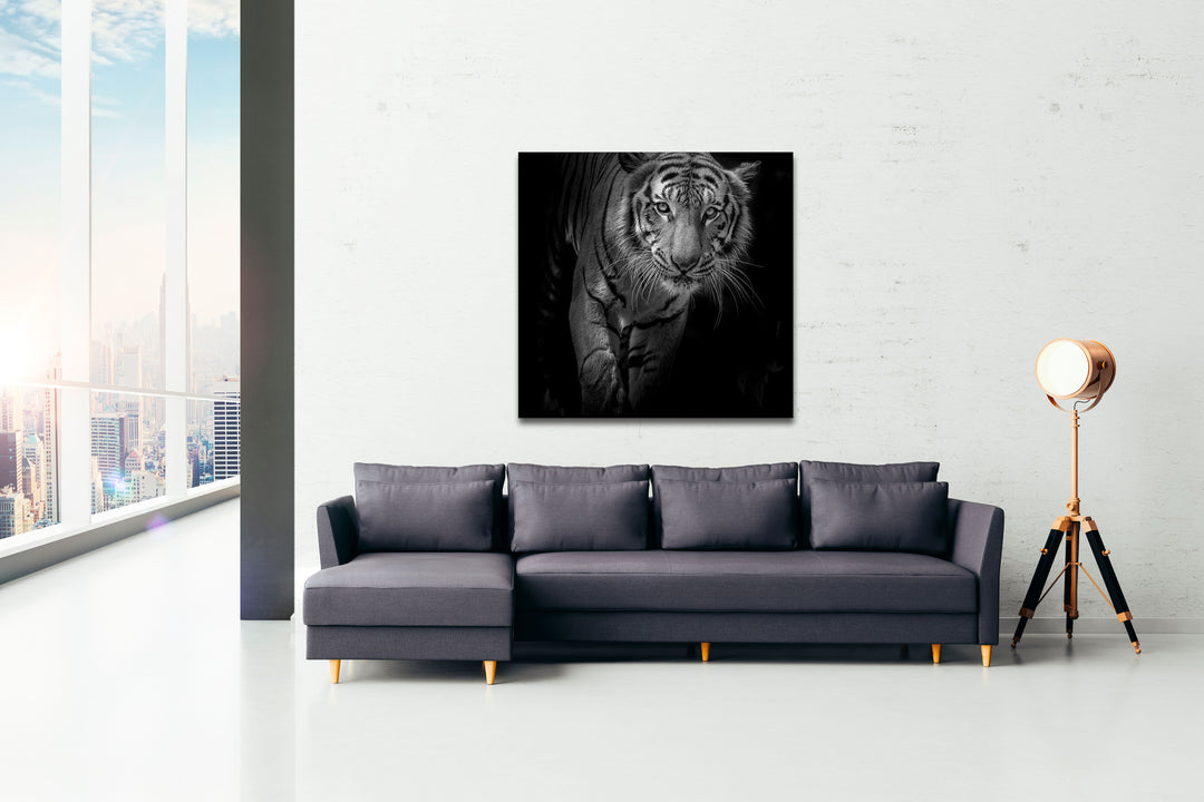 Acrylic Modern Wall Art Tiger - Animals In The Wild Black and White Series - Modern Interior Design - Acrylic Wall Art - Picture Photo Printing Artwork - Multiple Size Options - egraphicstore