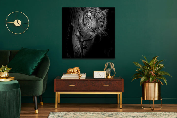 Acrylic Modern Wall Art Tiger - Animals In The Wild Black and White Series - Modern Interior Design - Acrylic Wall Art - Picture Photo Printing Artwork - Multiple Size Options - egraphicstore