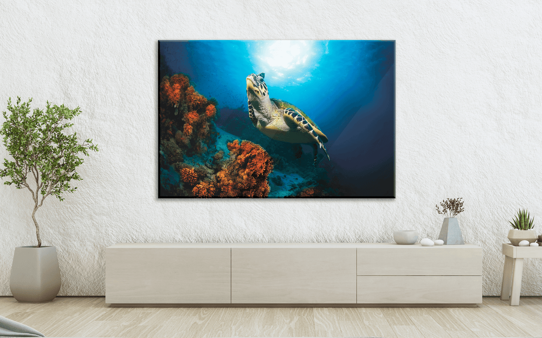 Acrylic Glass Modern Wall Art Turtle - Sea Life Series - Interior Design - Acrylic Wall Art - Picture Photo Printing Artwork - Multiple Size Options - egraphicstore