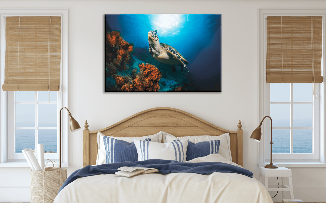 Acrylic Glass Modern Wall Art Turtle - Sea Life Series - Interior Design - Acrylic Wall Art - Picture Photo Printing Artwork - Multiple Size Options - egraphicstore