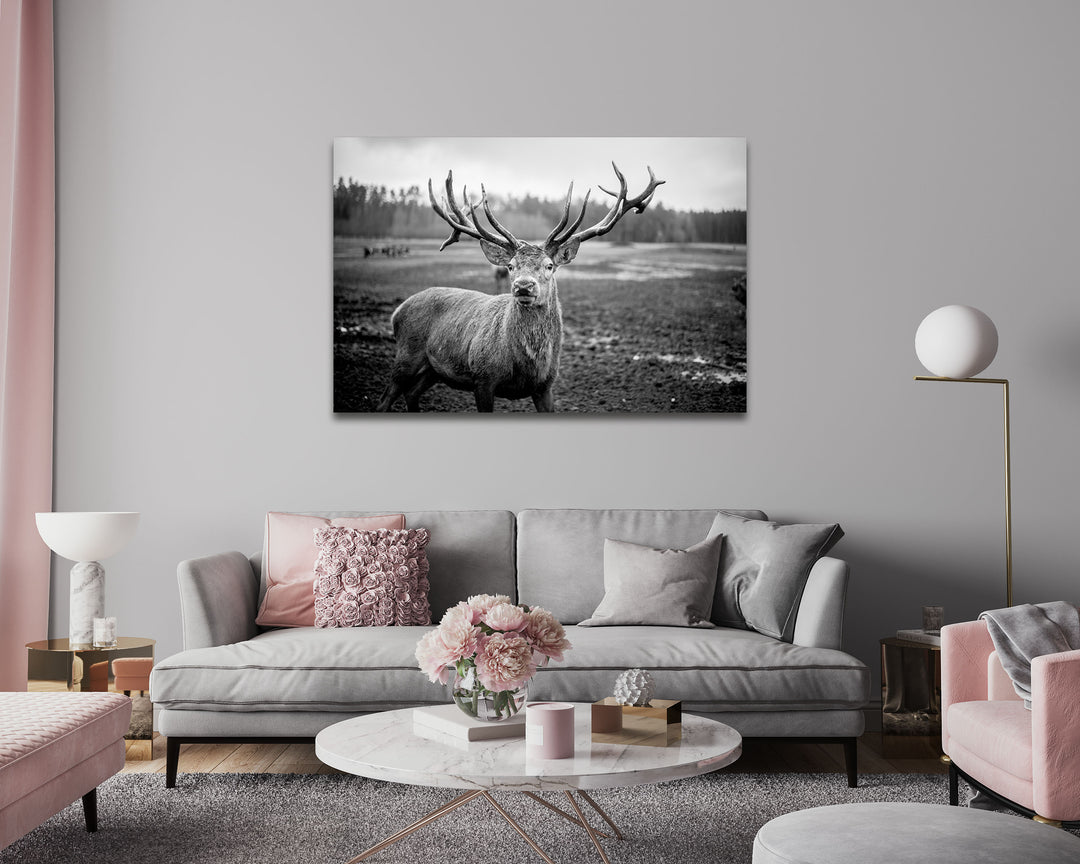 Acrylic Modern Wall Art Deer - Animals In The Wild Black and White Series - Modern Interior Design - Acrylic Wall Art - Picture Photo Printing Artwork - Multiple Size Options - egraphicstore